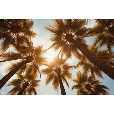 Tableau Sur Toile Palmiers